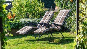 Um jardim com três cadeiras de jardim.