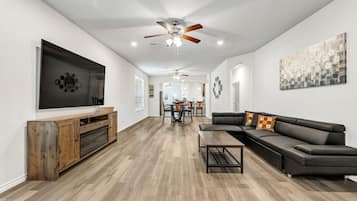 TV, fireplace