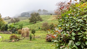A lush green landscape with rolling hills, a variety of plants, and a misty background.