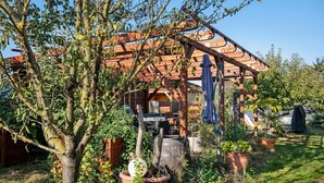 Un jardín con una pérgola, plantas en macetas y una estructura de madera.