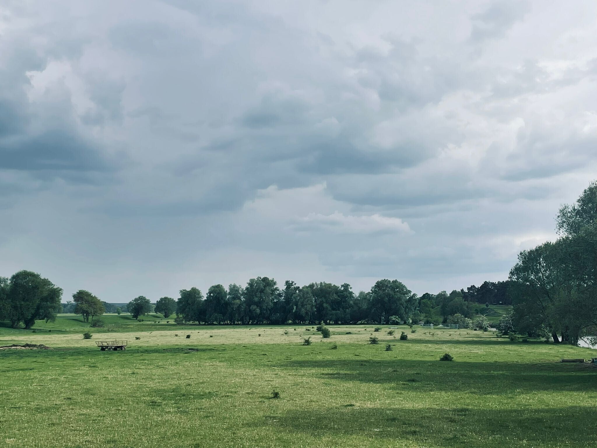 Un campo erboso con alberi e un cielo nuvoloso.