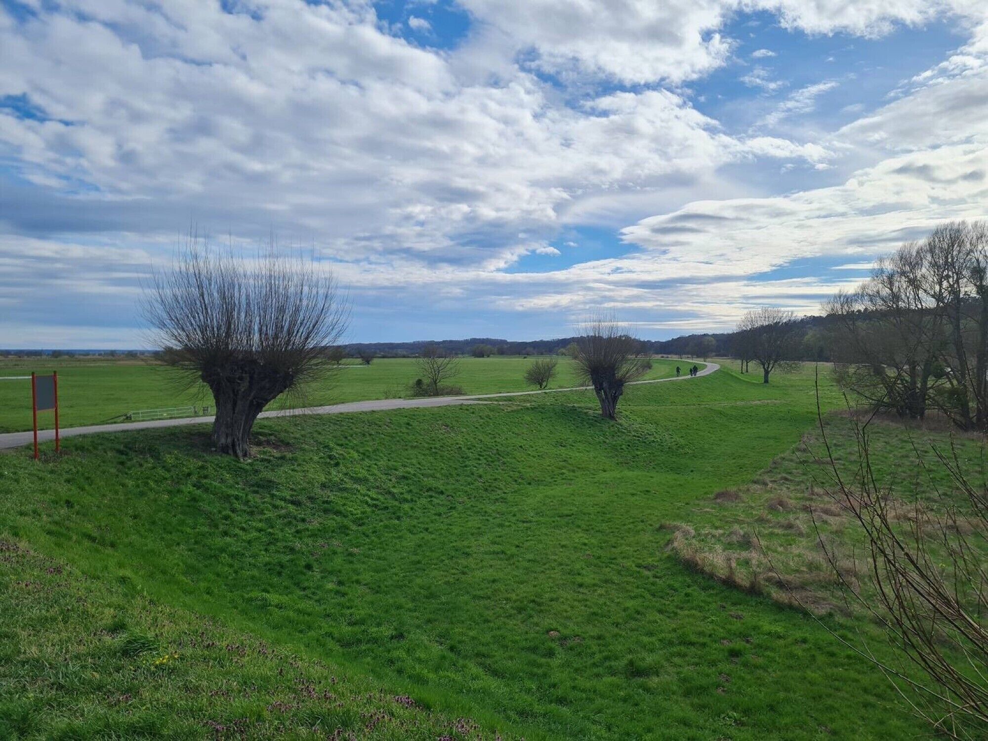 Un paisaje rural con un camino sinuoso, árboles y cielo despejado.