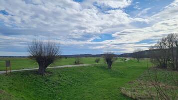 A rural landscape with a winding path, trees, and a clear sky.