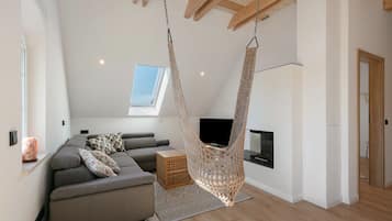 TV, fireplace, ping pong