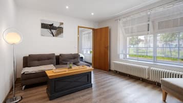 TV, DVD player, ping pong