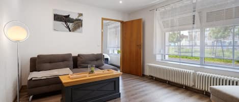 TV, DVD player, ping pong