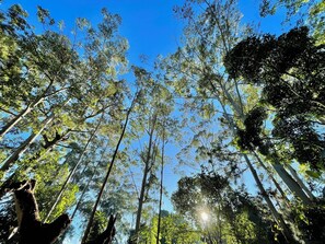 1 bedroom, iron/ironing board, free WiFi, bed sheets - Firefly Cottage Bandarawela (Bandarawela)