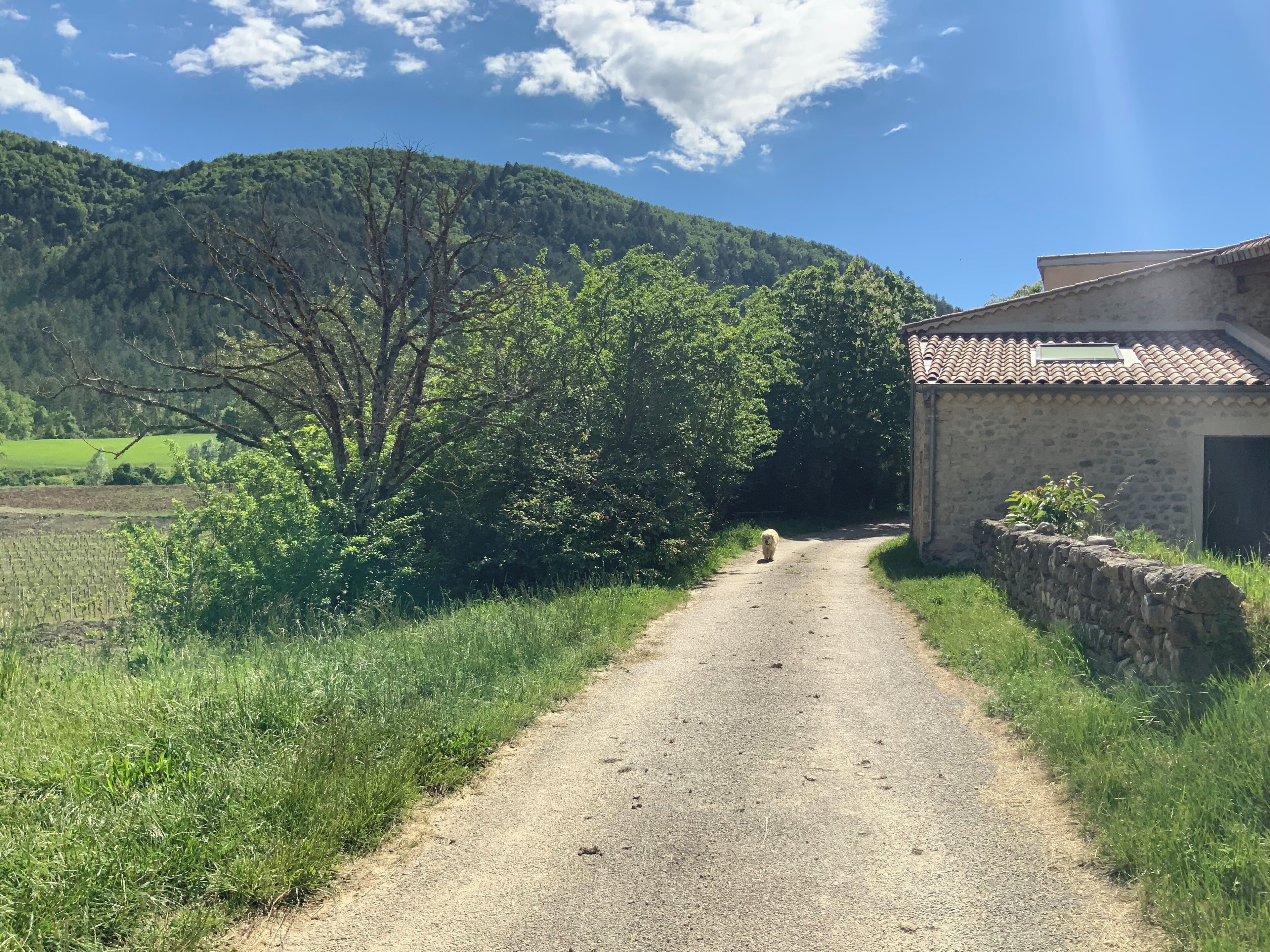 A rural road leading to a stone building with a tiled roof.