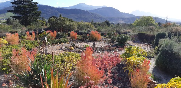 Terrain de lâhĂ©bergement