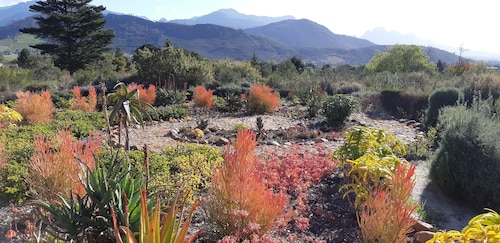 Akkedis Pet-friendly Cottage on Fynbos Garden Retreat