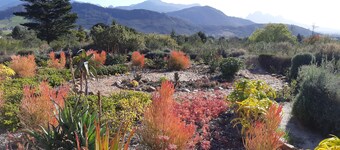 Akkedis Pet-friendly Cottage on Fynbos Garden Retreat