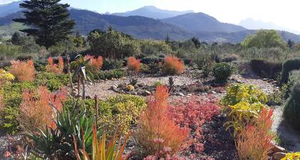 Akkedis Pet-friendly Cottage on Fynbos Garden Retreat