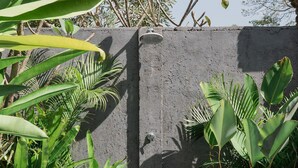 A concrete wall with a water spout and surrounding lush green foliage. - Villa Leya Canggu - Ella Villa Bali (Canggu)
