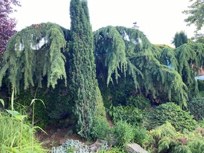 Boendeområde