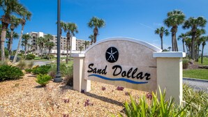 Schild für Sand Dollar mit einer von Palmen gesäumten Auffahrt und einem Gebäude im Hintergrund.