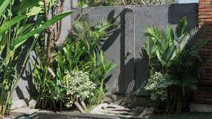 Un jardin avec différentes espèces de plantes et un mur en béton.