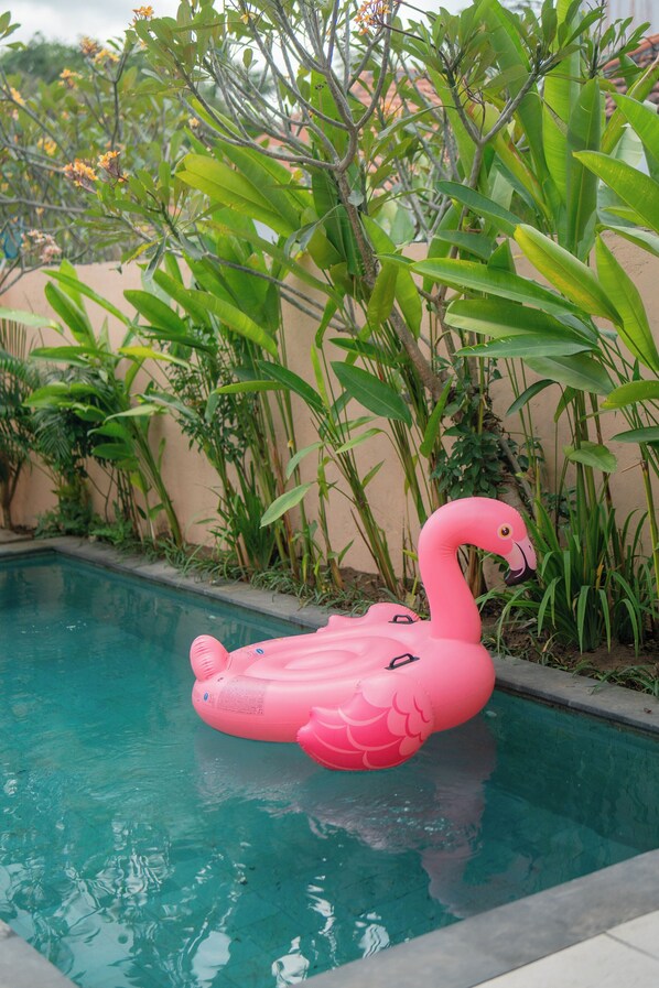 Villa Leya | Private pool