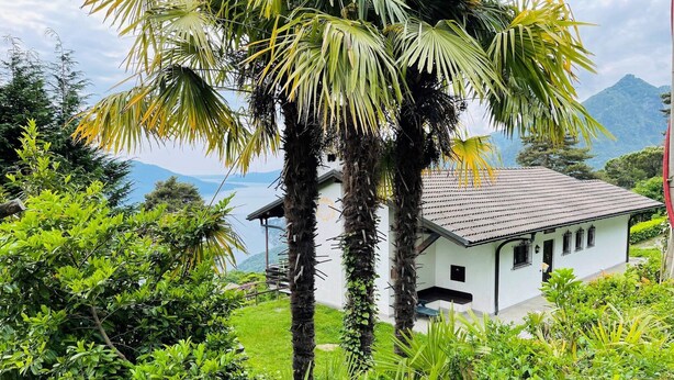 Uma casa branca com telhado de cerâmica, cercada por vegetação exuberante e palmeiras.