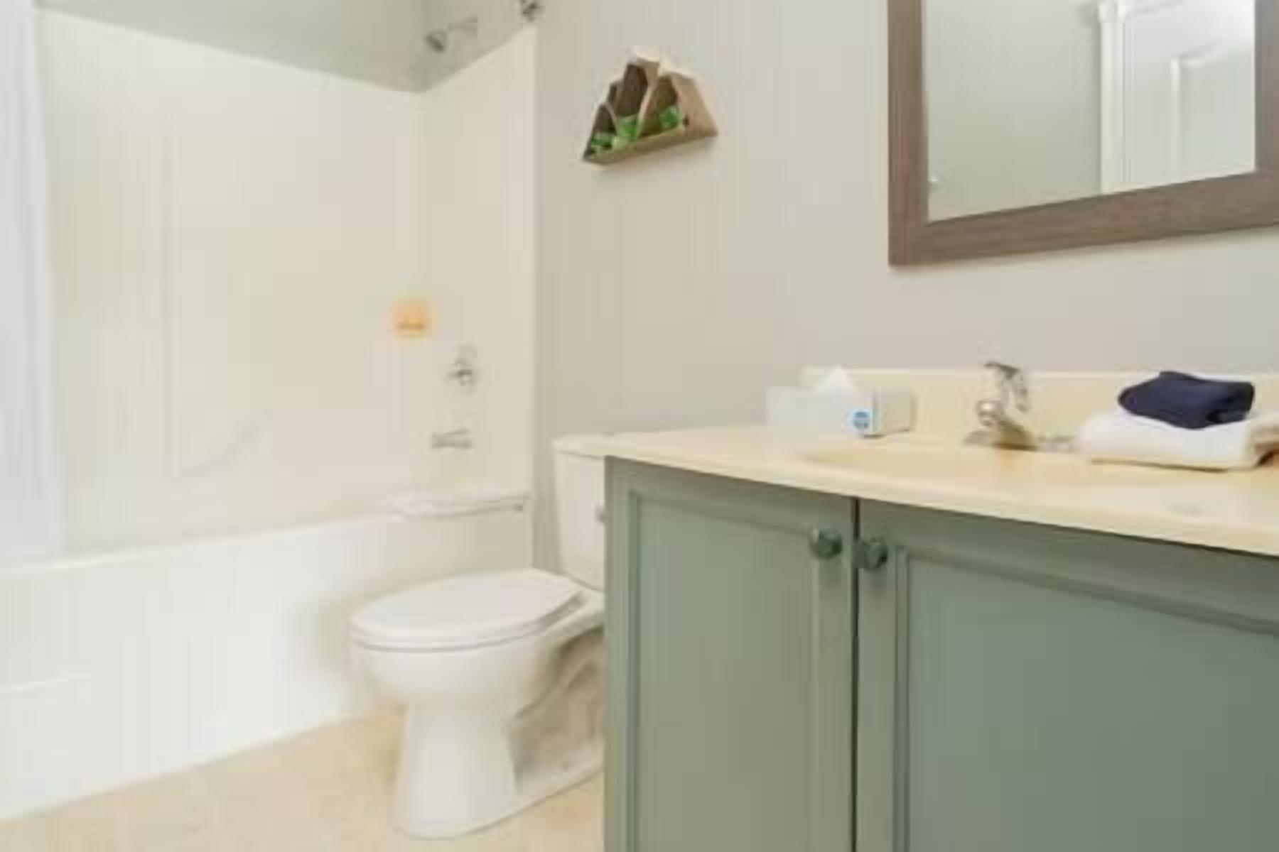 Un bagno con il water, un lavandino con uno specchio sopra e una zona doccia.