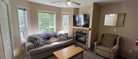 Televisión y chimenea