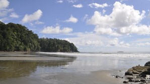 Ein Strand mit felsigem Ufer, ruhigem Wasser und einem bewaldeten Hügel im Hintergrund.