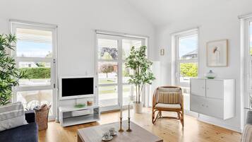 Télévision, cheminée, lecteur de DVD