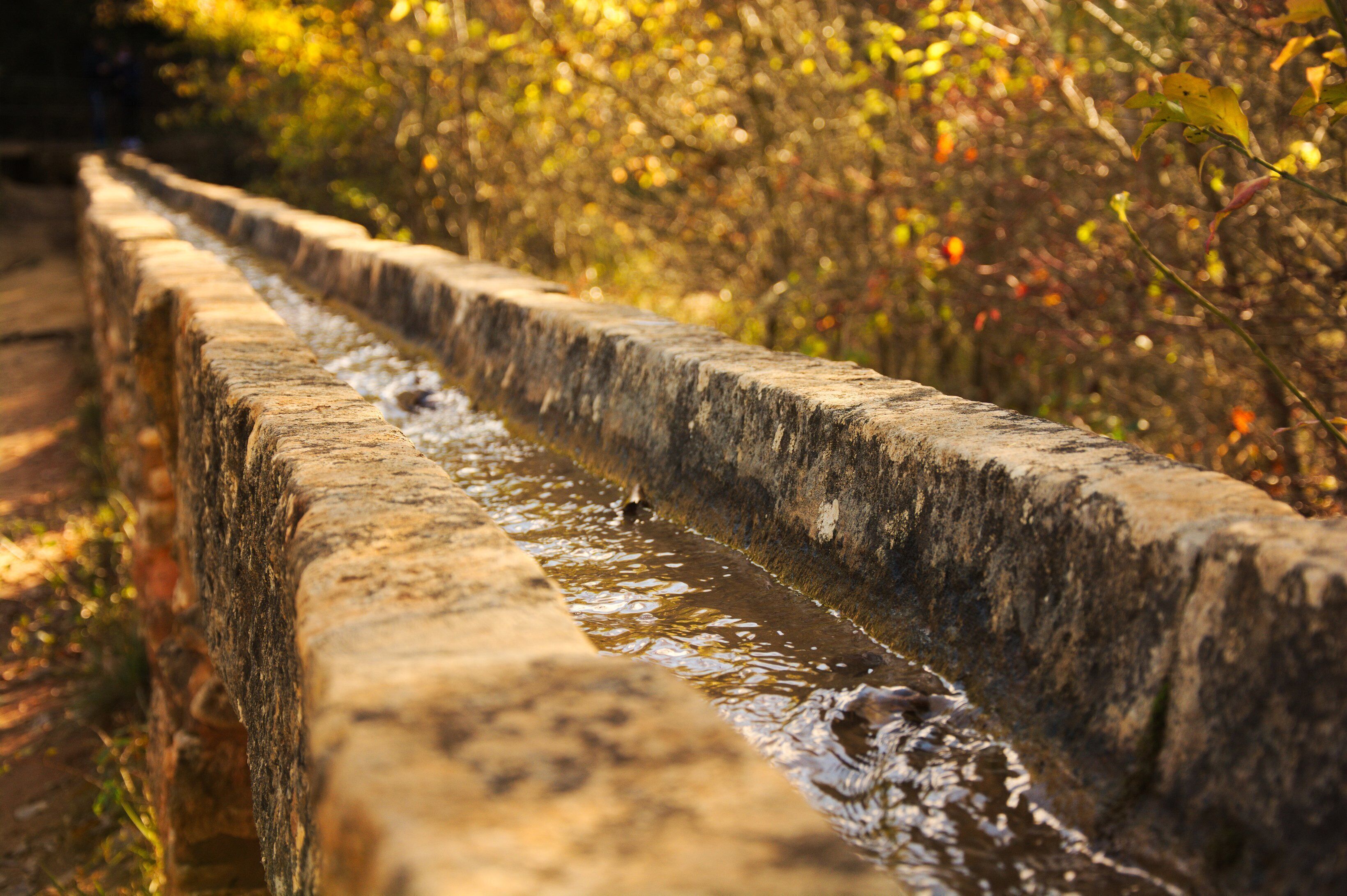 Un canal d’eau en pierre, dans lequel l’eau s’écoule, entouré de feuillage.