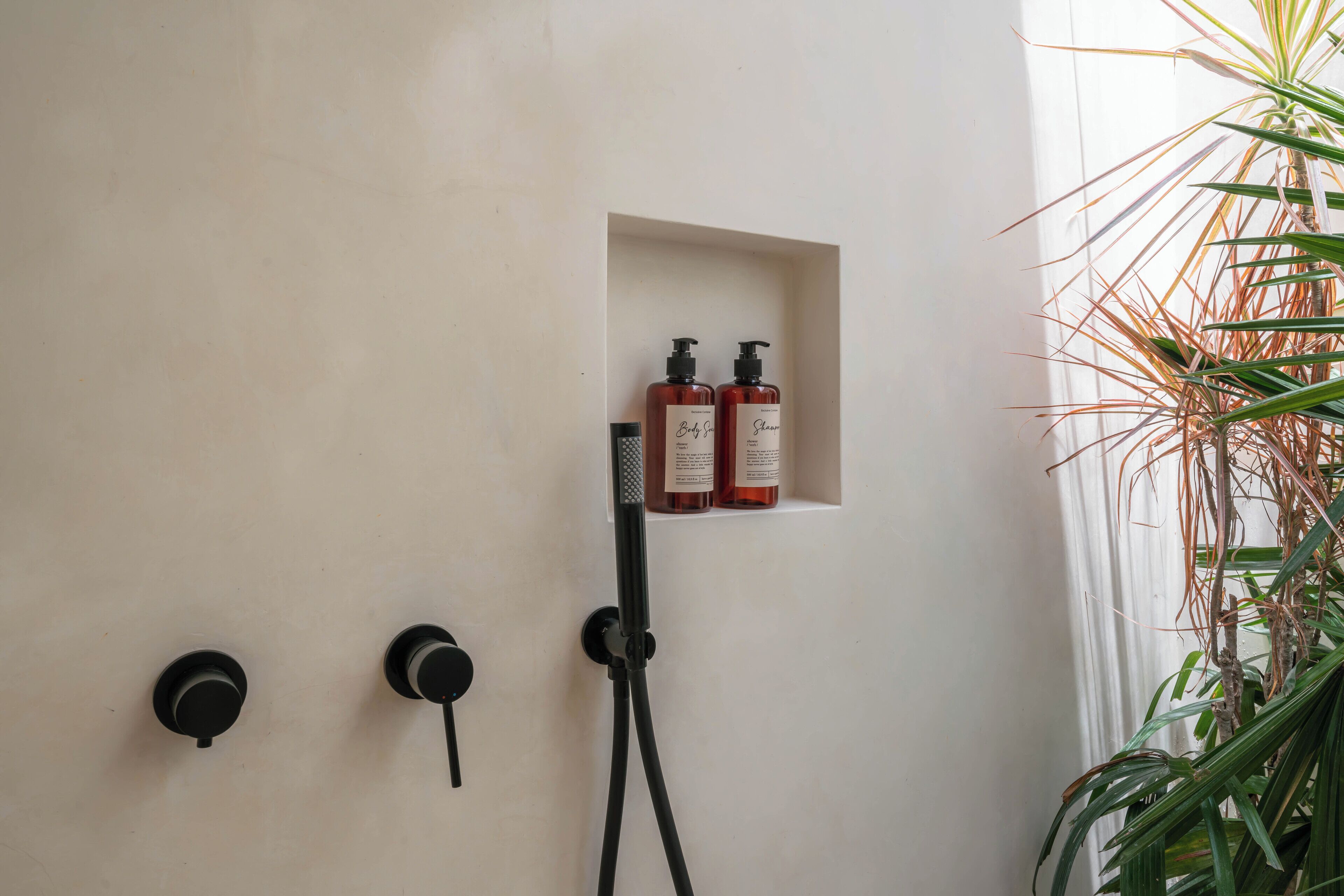Un baño con ducha, dos botellas de loción corporal y una planta en maceta.
