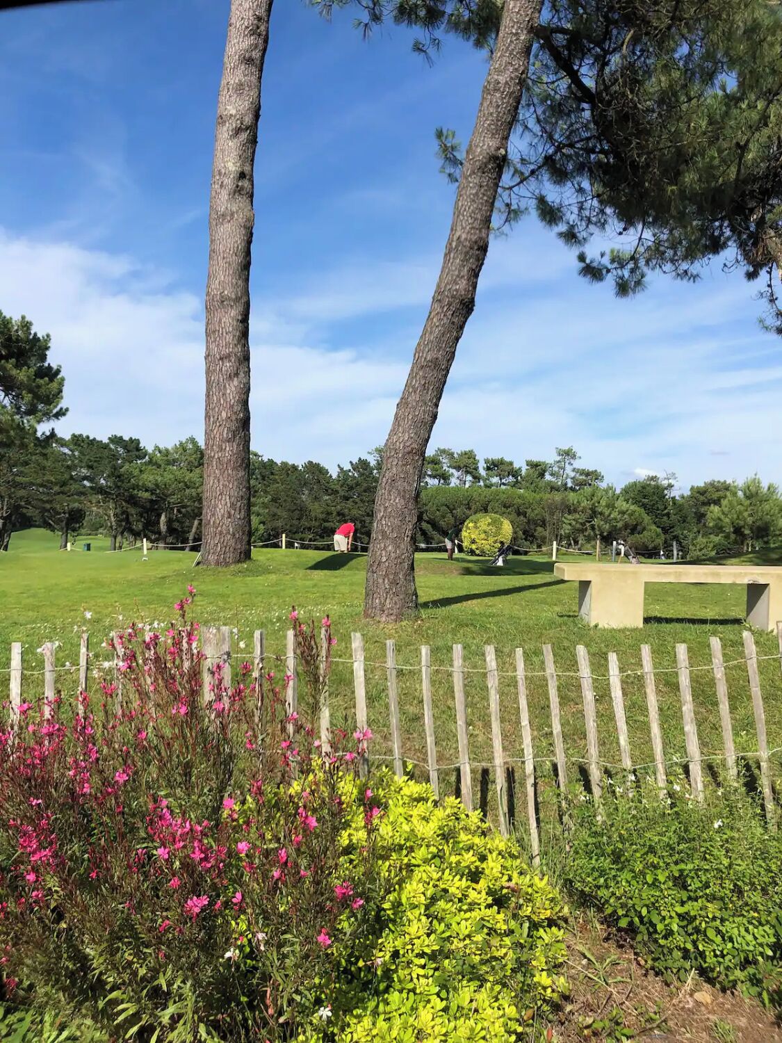 A park with tall trees, a grassy area, and a wooden fence.