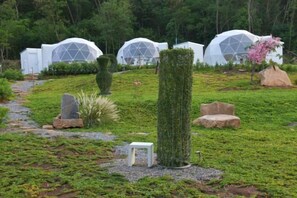 Vista desde la propiedad