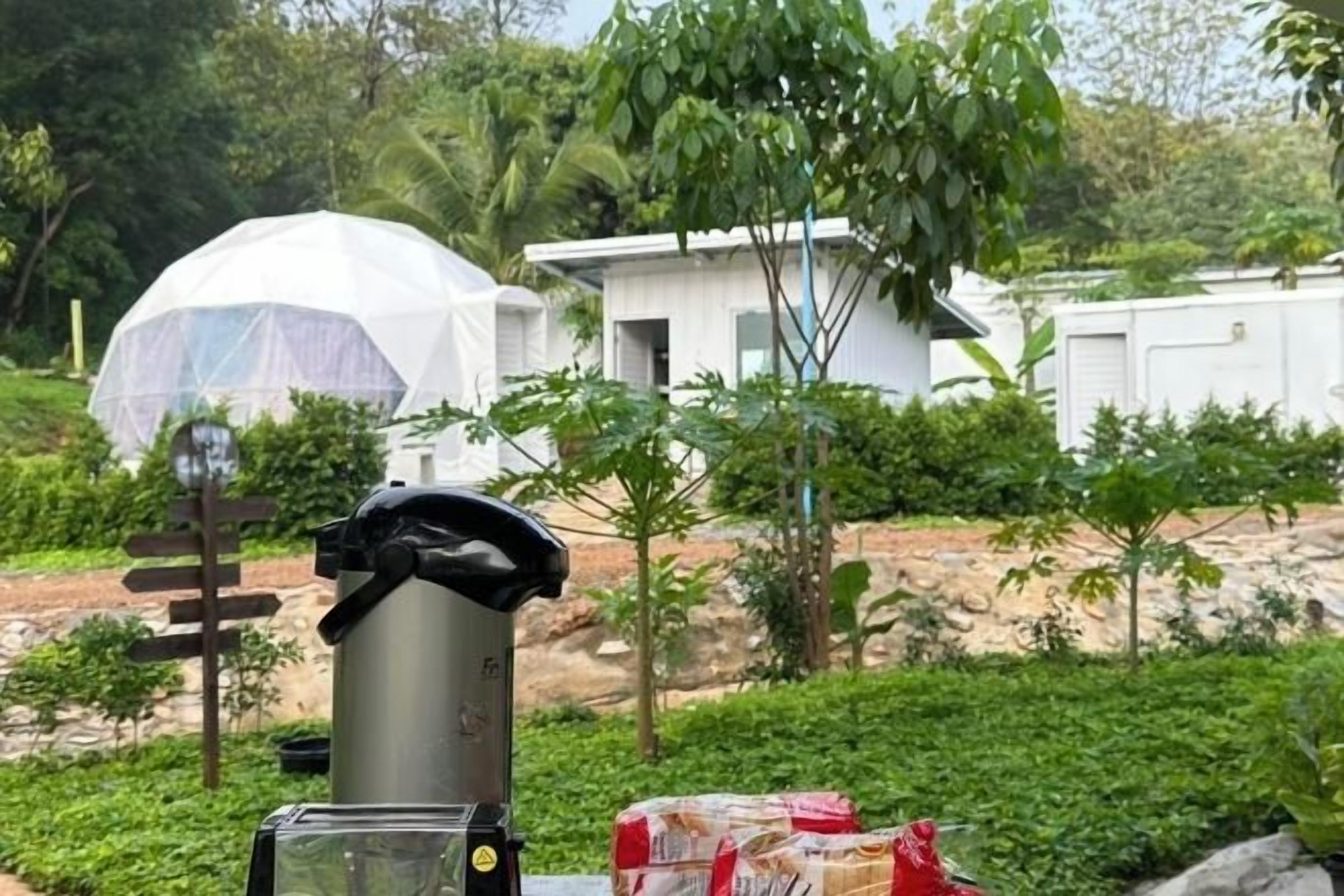 A white building with a dome-shaped structure in the background, surrounded by greenery.