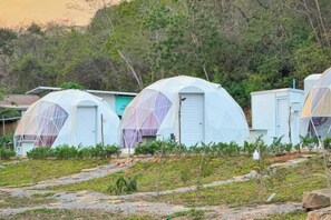 A row of dome-shaped structures with transparent coverings, likely used for accommodation or storage, situated on a sloped terrain with vegetation in the foreground. - NiNo San Glamping - Pak Chong (Pak Chong)
