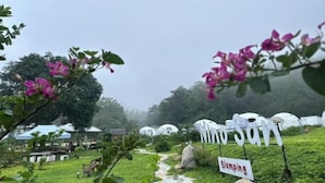Un terrain de camping avec des tentes blanches, un panneau indiquant « Nido San » et un panneau « Camping ».