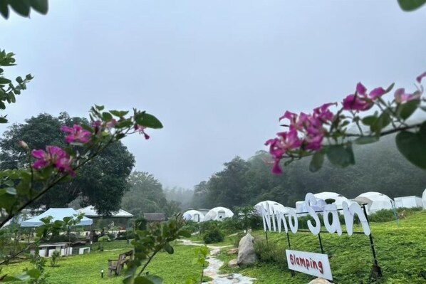 Interior - NiNo San Glamping - Pak Chong (Pak Chong)