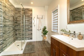 Shower, hair dryer, towels