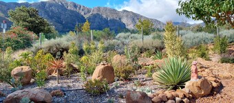 Gecko Pet-friendly cottage on Fynbos Garden Retreat