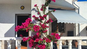 A white building with a balcony, a potted plant with pink flowers, and a sun decoration on the wall.