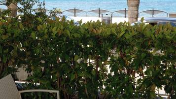 Tremannsrom – deluxe, sjøutsikt | Terrasse/patio