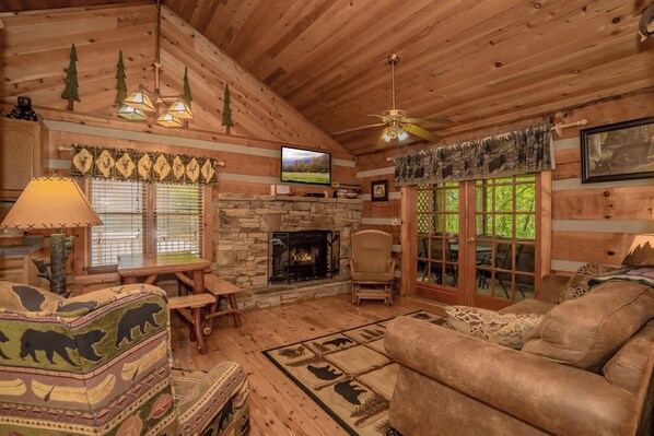 Televisión, chimenea, reproductor de DVD