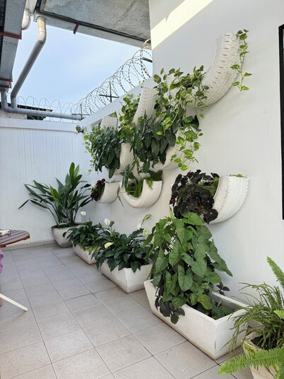 Urban Oasis with Terrace in the Heart of Brazzaville