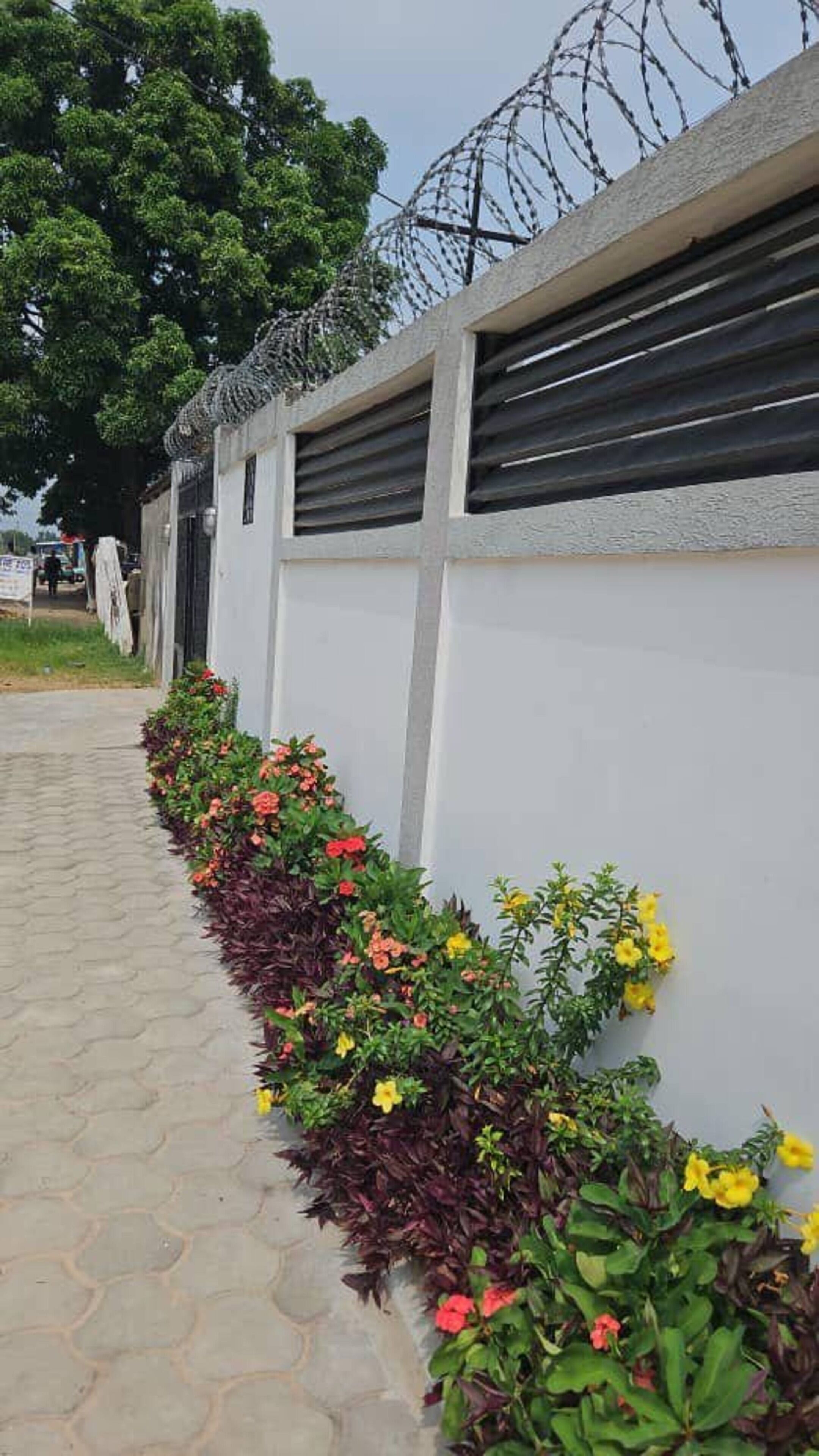 A pathway lined with flowering plants and a white wall topped with barbed wire.