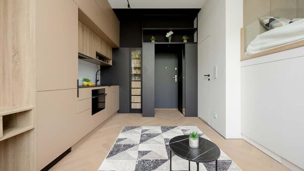 A modern kitchen with a geometric patterned rug, a small round table, and a plant. - Stylish Studio in the Heart of Warsaw | Close to Lazienki Krolewskie Park (Warszawa)