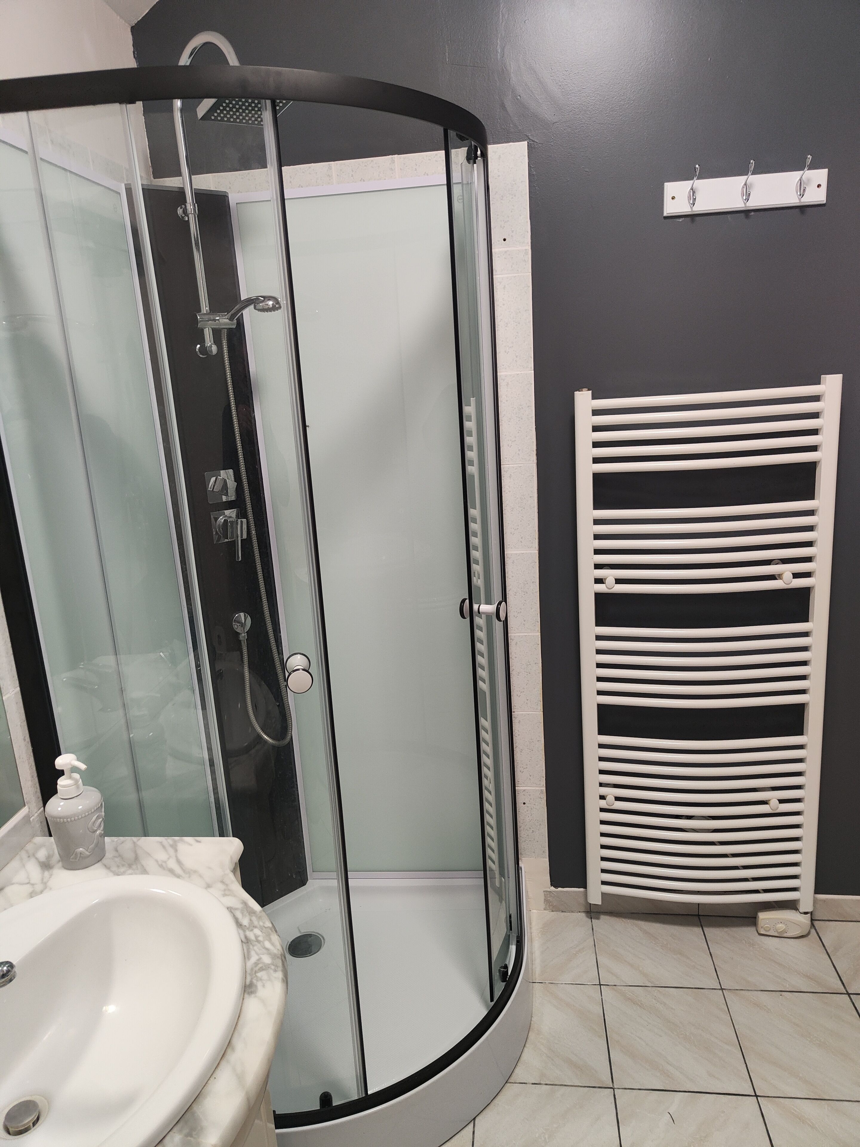Shower, hair dryer, soap, toilet paper