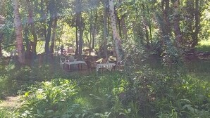 A forested area with several metal tables and chairs arranged for outdoor dining. - AMSOUZARTE TOURISTS' FUTURE PLACE (Taroudant)