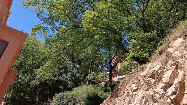 A rocky hillside with dense green foliage and a building with a red roof in the background. - AMSOUZARTE TOURISTS' FUTURE PLACE (Taroudant)