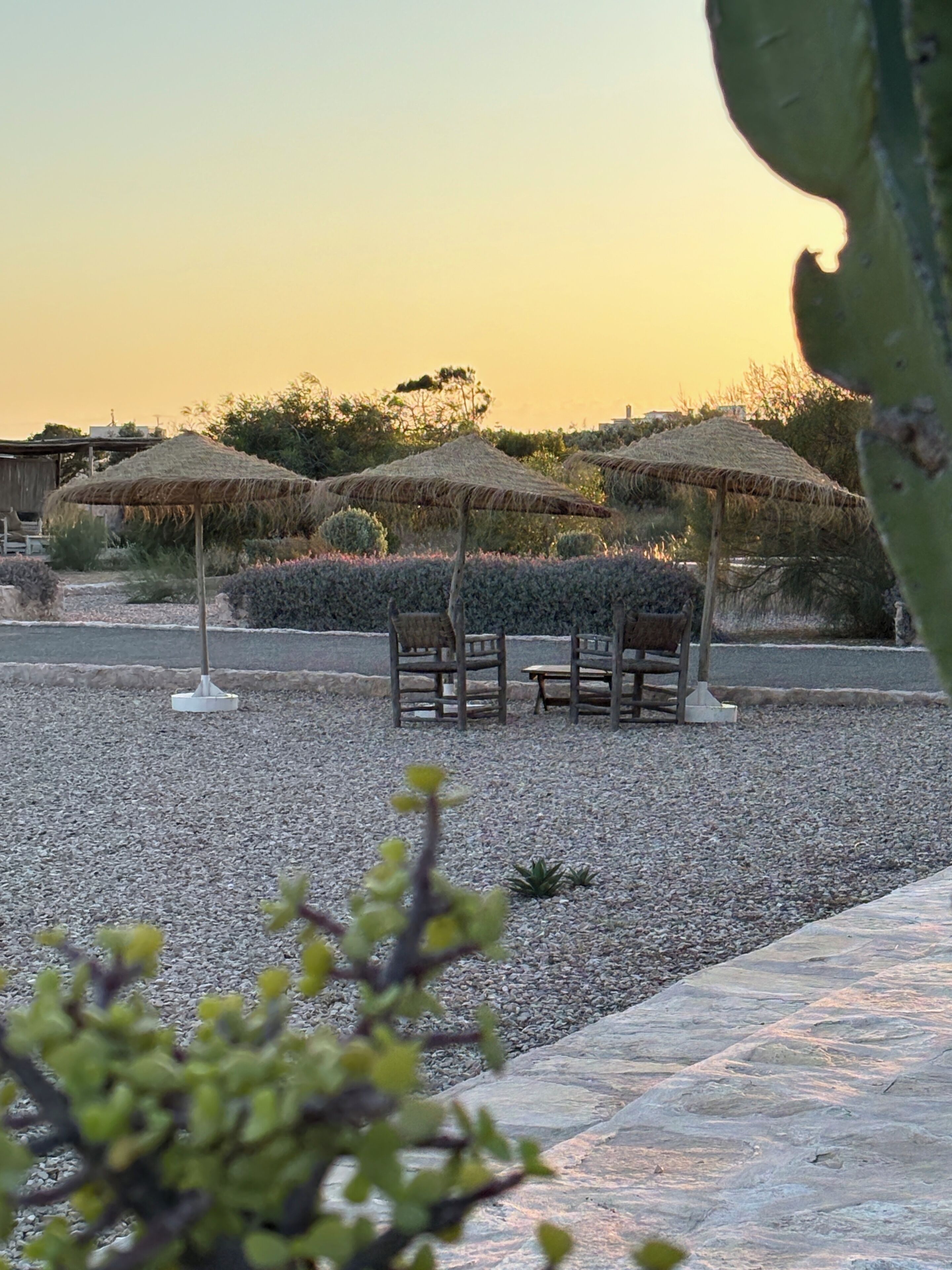 A seating area with thatched umbrellas and stone benches, surrounded by gravel and plants.