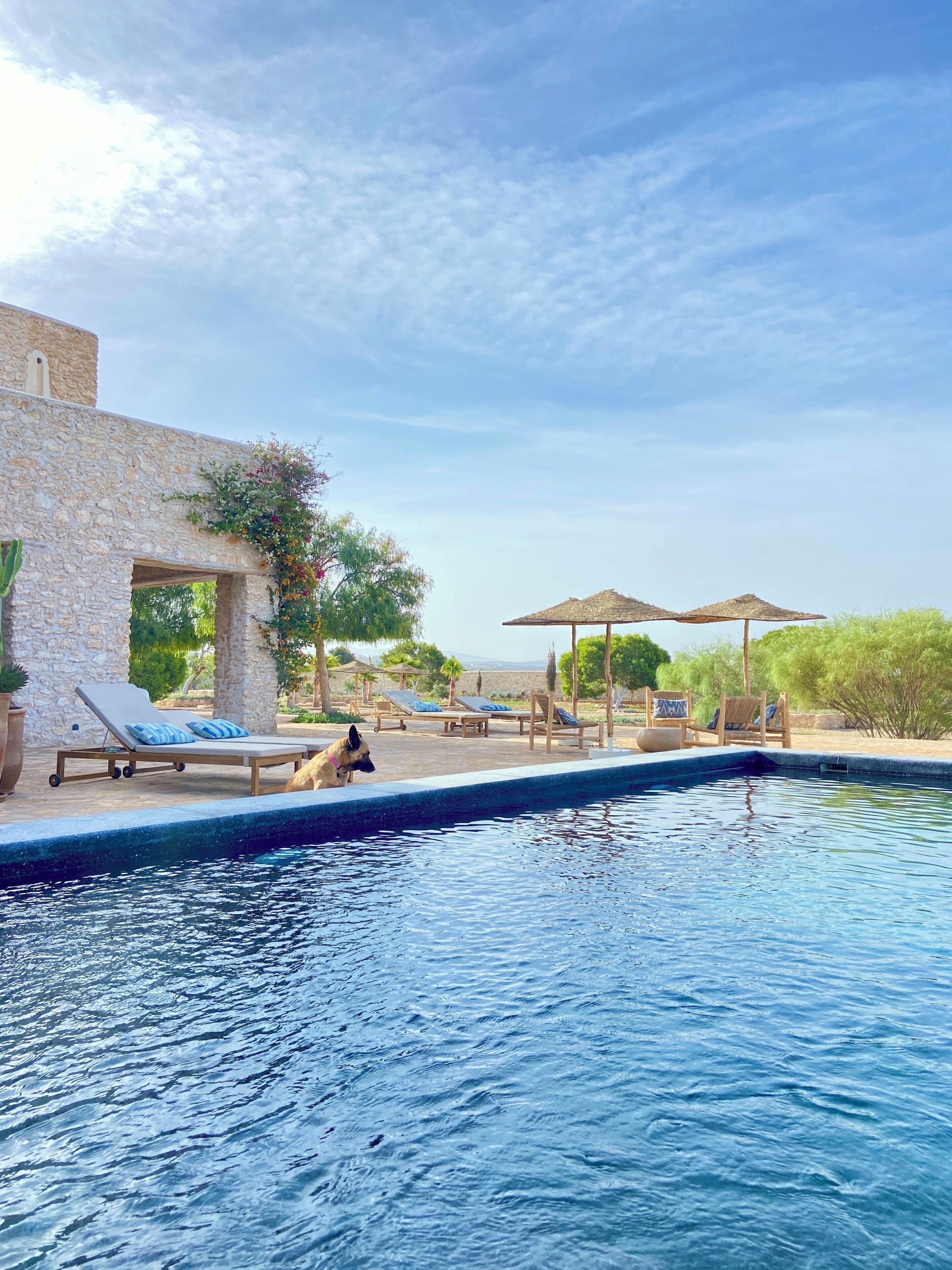 Outdoor pool, pool umbrellas, sun loungers