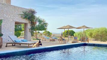Outdoor pool, pool umbrellas, sun loungers