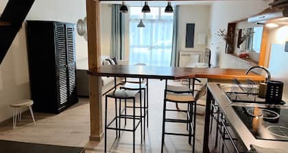 Appartement Cosy en Plein Centre Ville. Animaux de Compagnie Acceptés