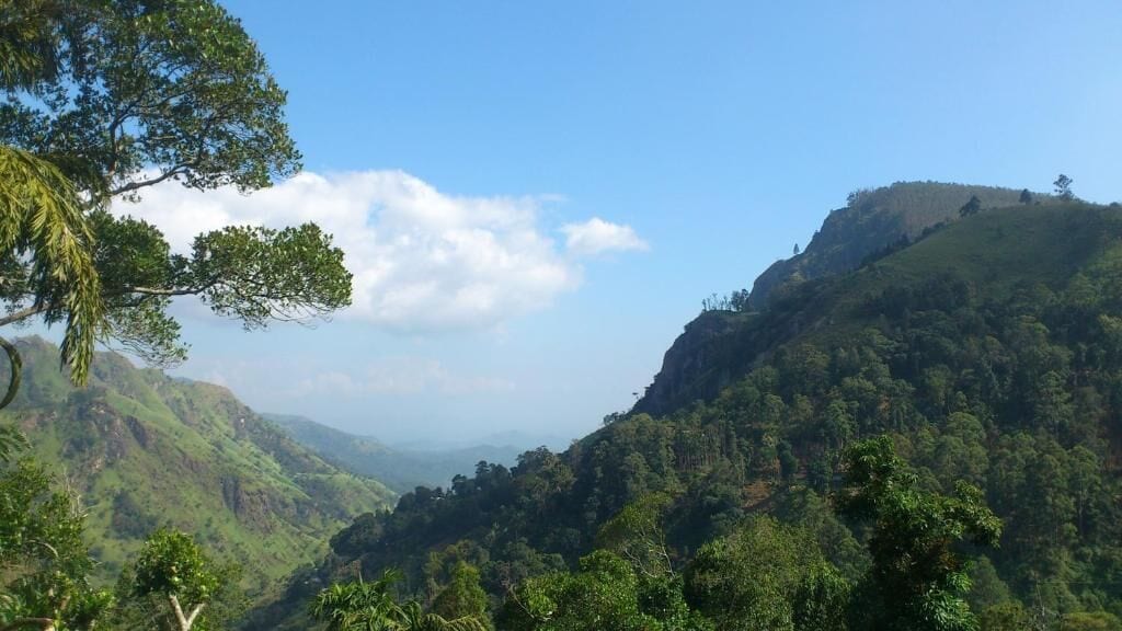 A valley with dense green vegetation and hills.